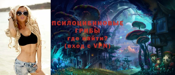 соль ск Алзамай