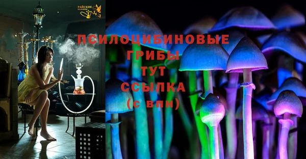 соль ск Алзамай
