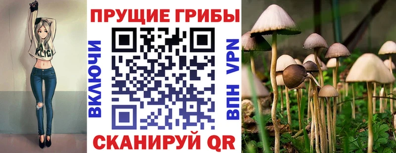 Галлюциногенные грибы MAGIC MUSHROOMS  МЕГА ссылка  Покачи 